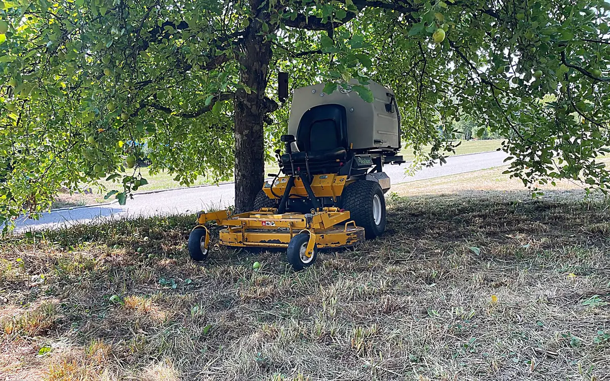 Aufsitzmäher beim Mähen einer Wiese unter Obstbäumen